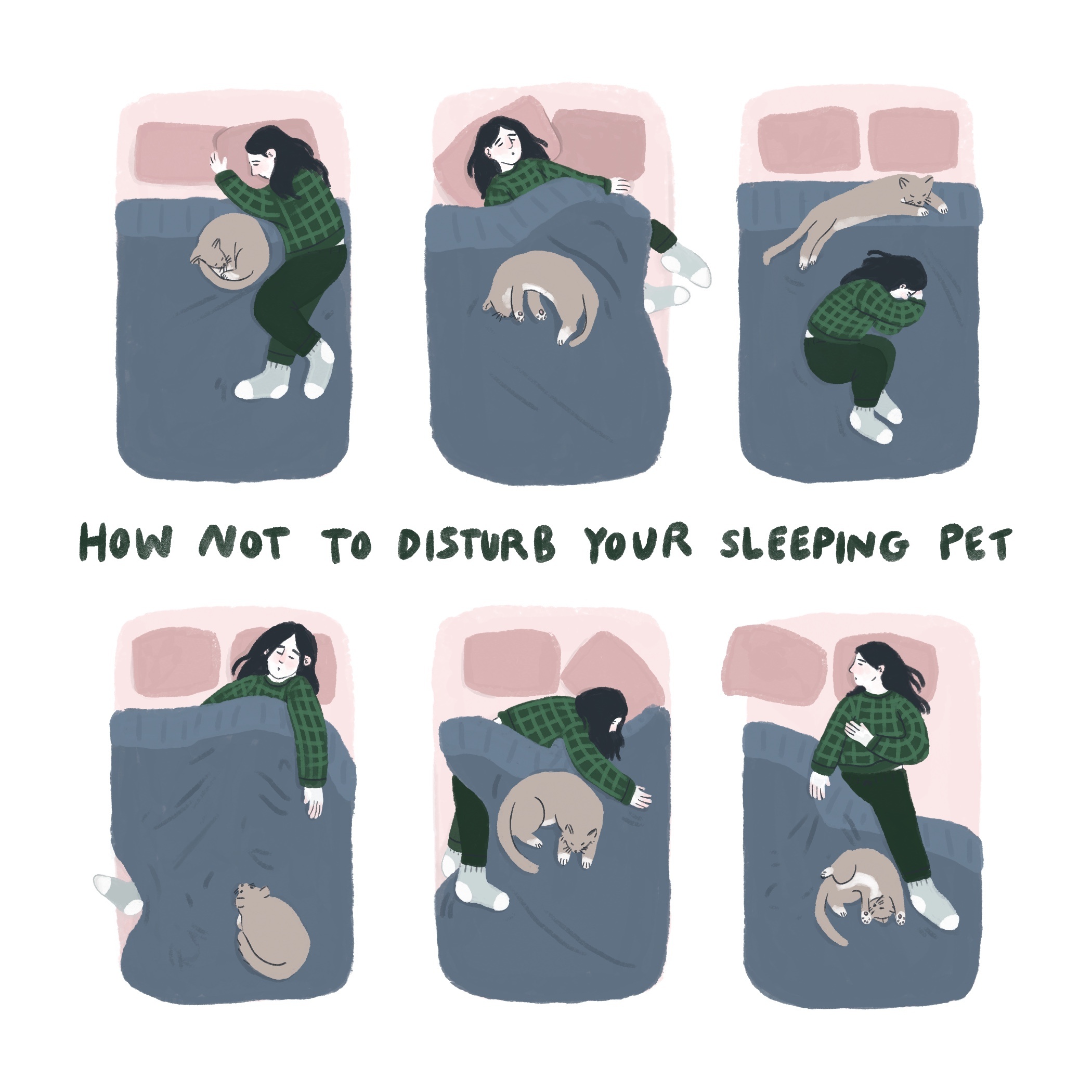 how not to disturb a sleeping pet comic