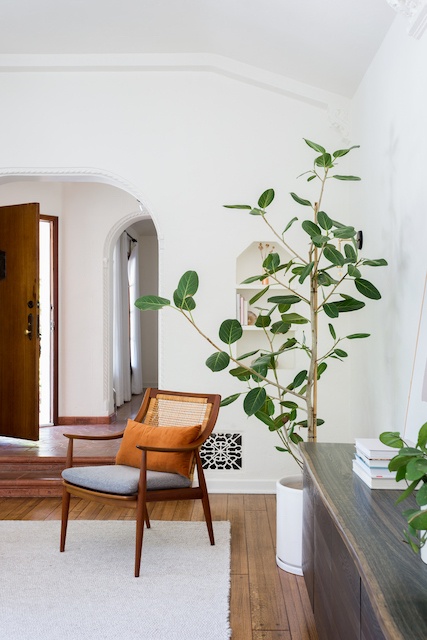 a side chair and plant in the living room