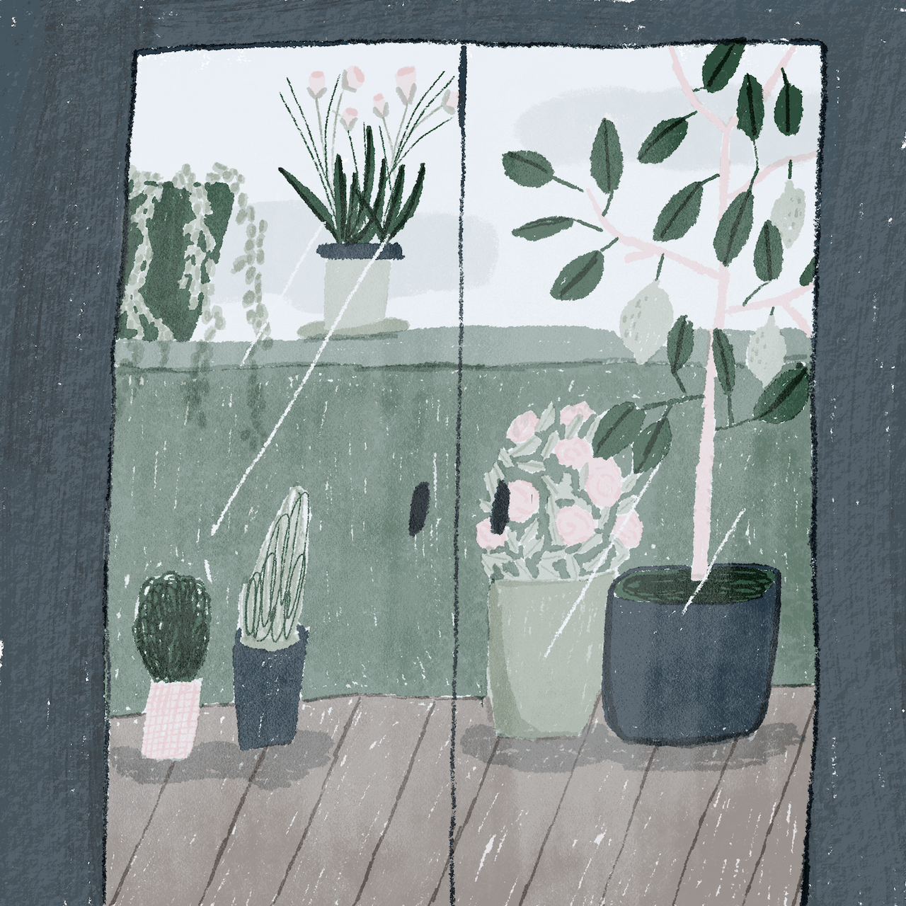 illustration of looking at flower pots through a glass